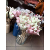 BAWEŁNIANE TULIPANY